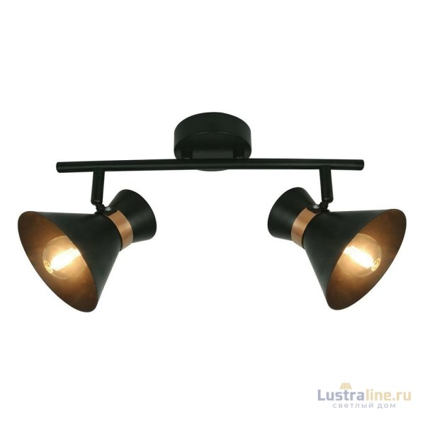 Спот Arte Lamp Baltimore A1406AP-2BK Спот Arte Lamp Baltimore A1406AP-2BK