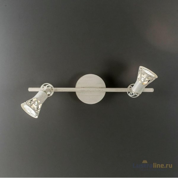Спот Citilux Винон CL519525