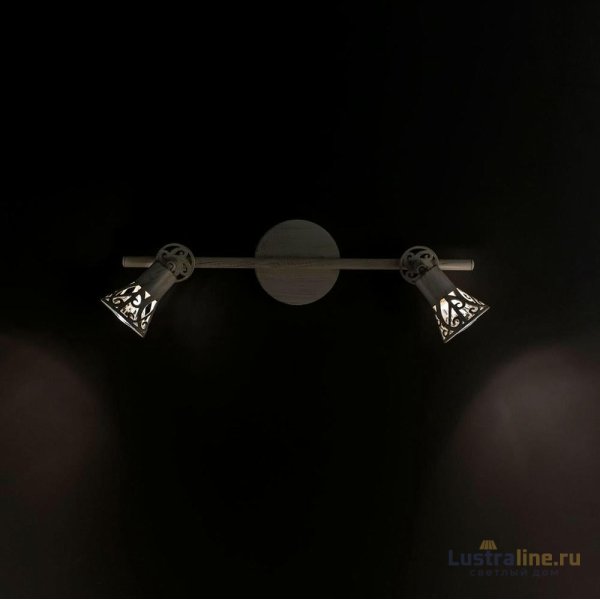 Спот Citilux Винон CL519525