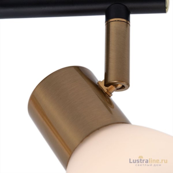 Спот Arte Lamp Falena A3117PL-2BK Спот Arte Lamp Falena A3117PL-2BK