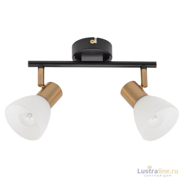 Спот Arte Lamp Falena A3117PL-2BK Спот Arte Lamp Falena A3117PL-2BK