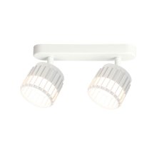 Спот Arte Lamp Atria A8031PL-2WH
