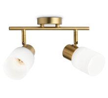 Спот Ambrella Light Traditional TR3969