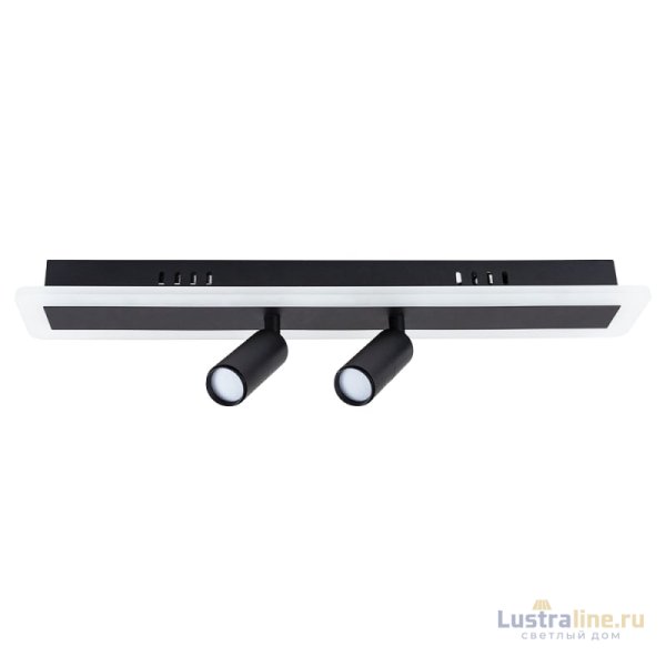 Спот Arte Lamp Tommy A2607PL-22BK