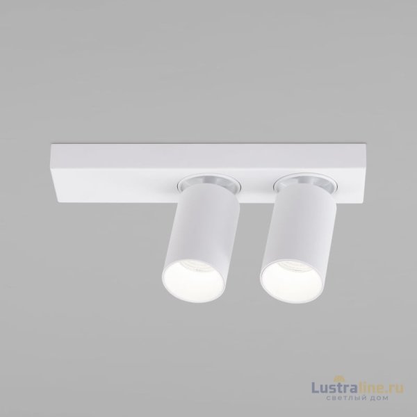 Спот Eurosvet Flank 20139/2 LED белый Спот Eurosvet Flank 20139/2 LED белый