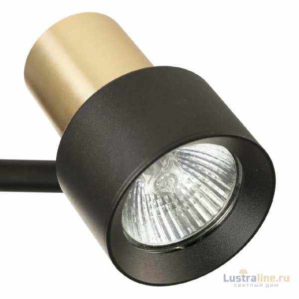 Спот Citilux Sat CL505621