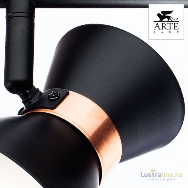Спот Arte Lamp Baltimore A1406AP-2BK Спот Arte Lamp Baltimore A1406AP-2BK
