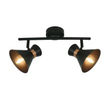 Спот Arte Lamp Baltimore A1406AP-2BK
