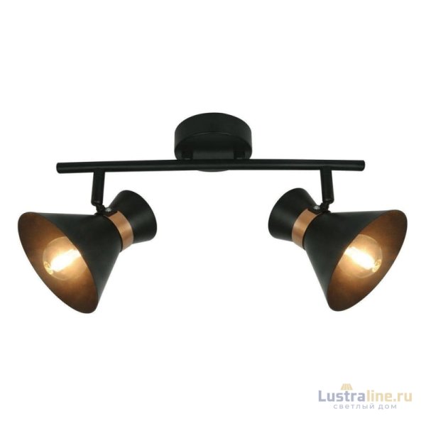 Спот Arte Lamp Baltimore A1406AP-2BK Спот Arte Lamp Baltimore A1406AP-2BK