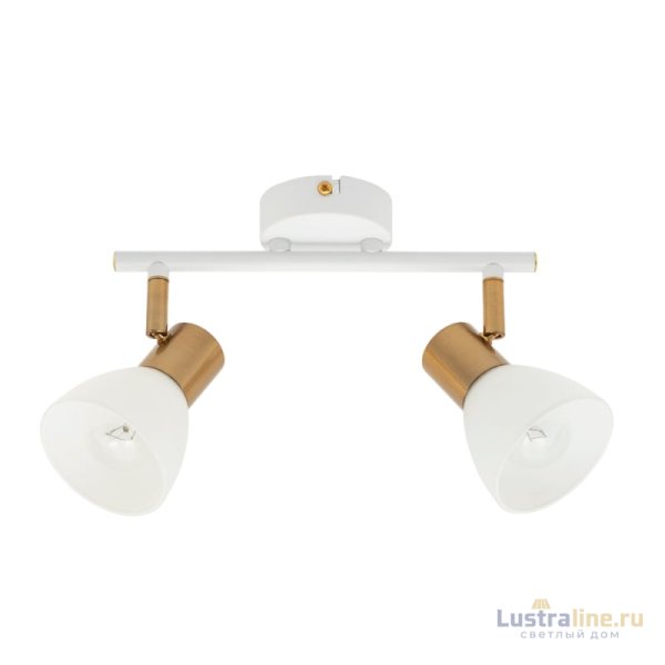 Спот Arte Lamp Falena A3117PL-2WH