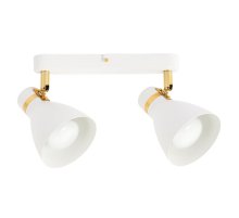 Спот Arte Lamp Fafnir A5047PL-2WH