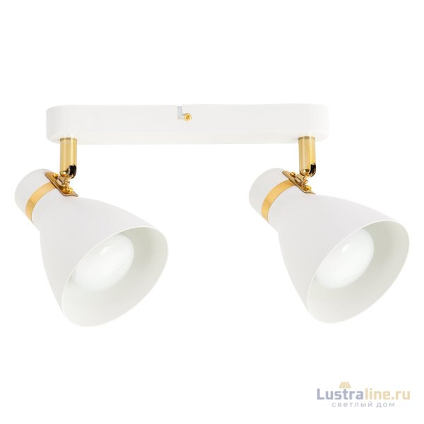 Спот Arte Lamp Fafnir A5047PL-2WH Спот Arte Lamp Fafnir A5047PL-2WH
