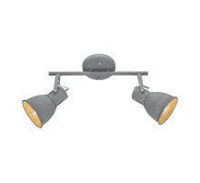Спот Arte Lamp A1677PL-2GY