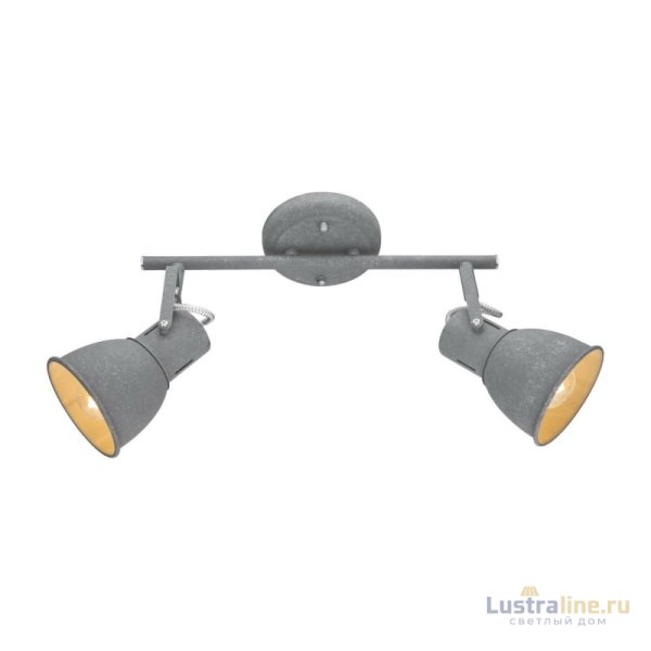 Спот Arte Lamp A1677PL-2GY
