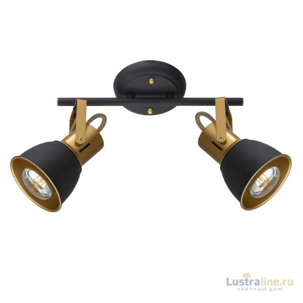 Спот Arte Lamp Jovi A1677PL-2GO