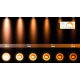 Спот Lucide Tala Led 31931/24/30
