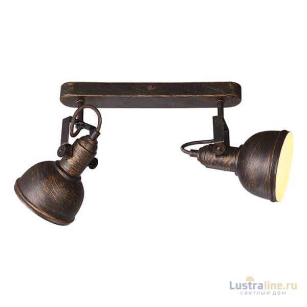 Спот Arte Lamp Martin A5213AP-2BR