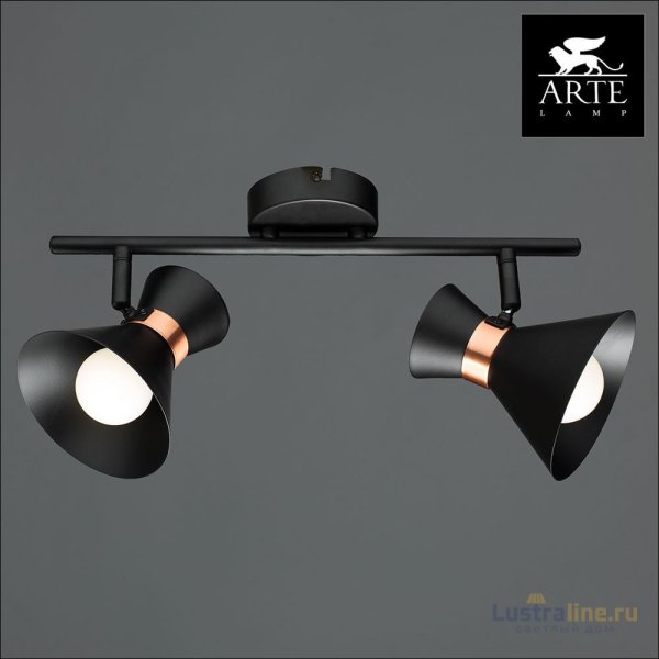 Спот Arte Lamp Baltimore A1406AP-2BK Спот Arte Lamp Baltimore A1406AP-2BK