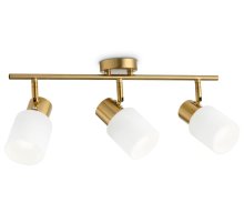 Спот Ambrella Light Traditional TR3972