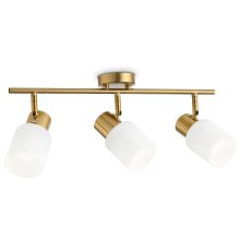 Спот Ambrella Light Traditional TR3972