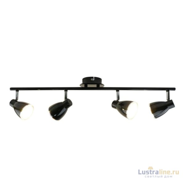 Светодиодный спот Arte Lamp Gioved A6008PL-4BK