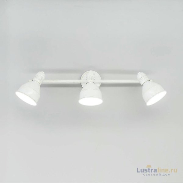 Спот Citilux Опус CL502533