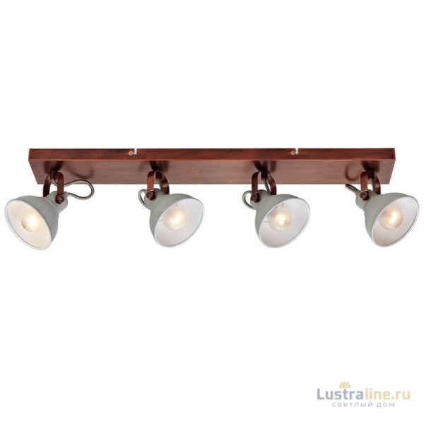 Спот Lussole Loft Diana GRLSP-9829