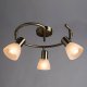 Спот Arte Lamp Parry A5062PL-3AB