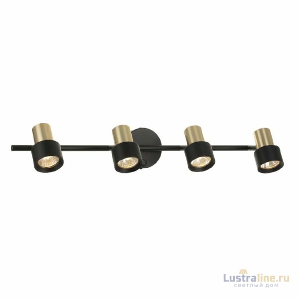 Спот Citilux Sat CL505641