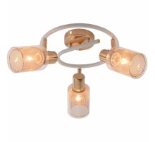 Спот Reluce 96125-3.8-03A WH+FGD