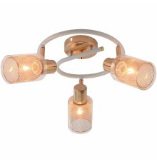 Спот Reluce 96125-3.8-03A WH+FGD