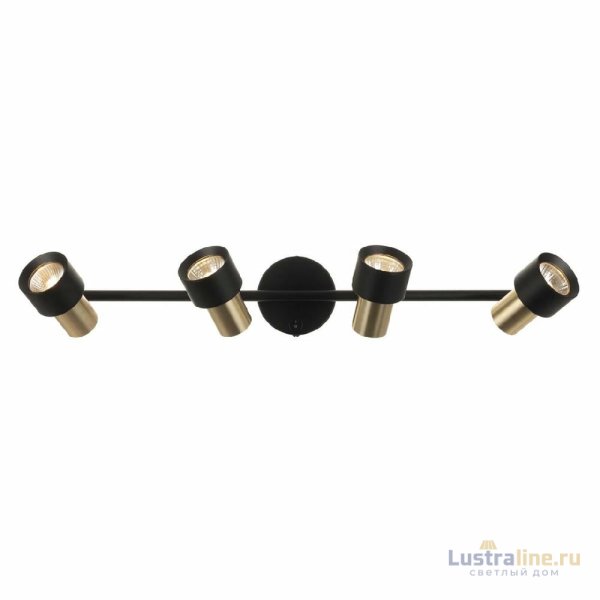 Спот Citilux Sat CL505641