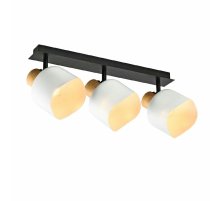 Спот IMEX SP.050-53-87