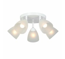 Спот Vitaluce V4355-0/5PL Спот Vitaluce V4355-0/5PL