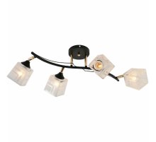 Спот Reluce 01594-3.3-04B BK+FGD