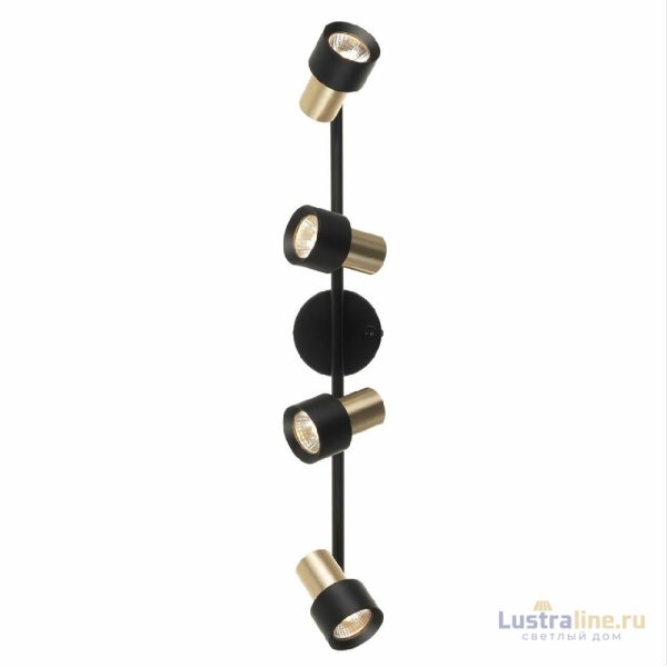 Спот Citilux Sat CL505641