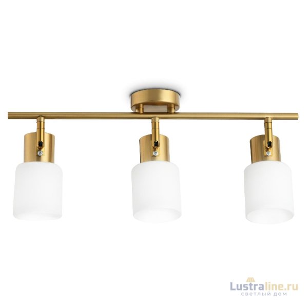 Спот Ambrella Light Traditional TR3972 Спот Ambrella Light Traditional TR3972