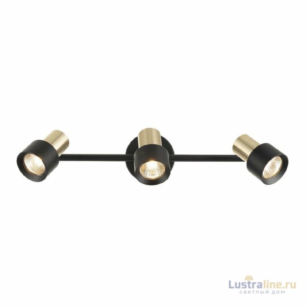 Спот Citilux Sat CL505631