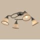 Спот Citilux Прованс CL511143