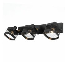 Спот Citilux Хаген CL531535