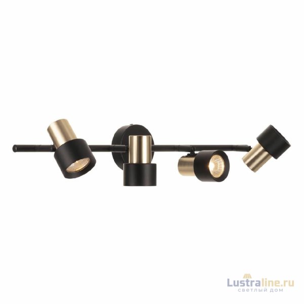 Спот Citilux Sat CL505641