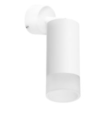 Встраиваемый спот Lightstar Rullo RB43631 (214436+590006+202431)