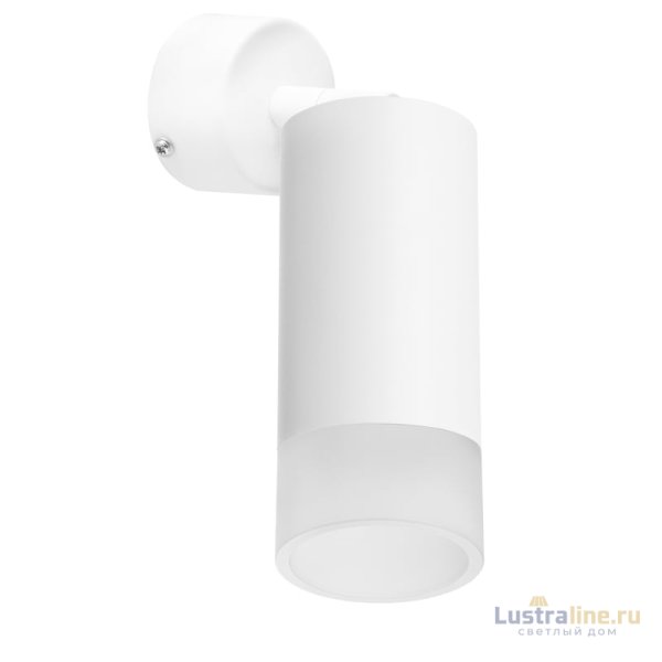 Встраиваемый спот Lightstar Rullo RB43631 (214436+590006+202431)