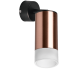 Встраиваемый спот Lightstar Rullo RB43031 (214430+590007+202431)