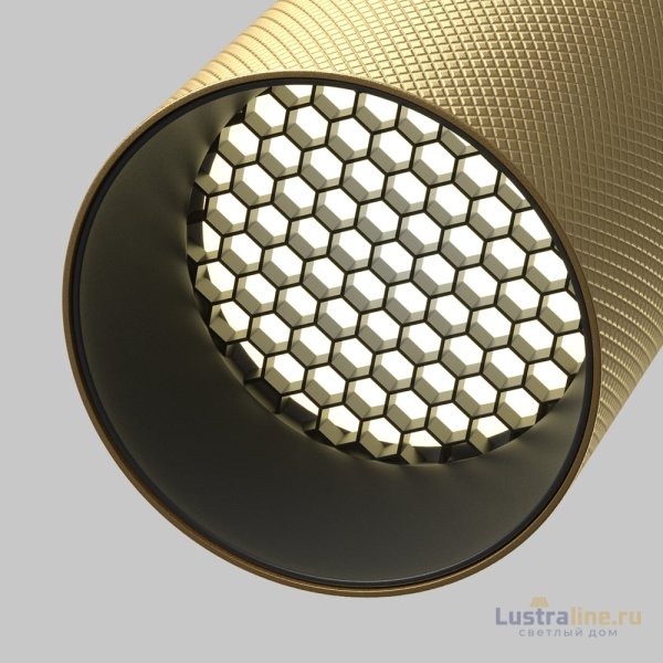 Встраиваемый спот Maytoni Artisan C081CL-01-GU10-MG