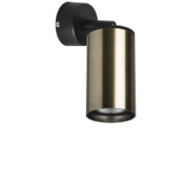 Встраиваемый спот Lightstar Rullo RB431 (214431+590007)