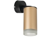 Встраиваемый спот Lightstar Rullo RB44030 (214440+590007+202430)