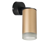 Встраиваемый спот Lightstar Rullo RB44030 (214440+590007+202430)