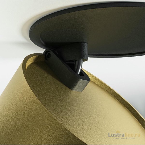 Встраиваемый спот Maytoni Onda DL024-12W4K-BMG Встраиваемый спот Maytoni Onda DL024-12W4K-BMG