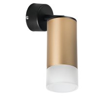 Встраиваемый спот Lightstar Rullo RB44031 (214440+590007+202431)